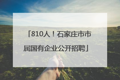 810人！石家庄市市属国有企业公开招聘